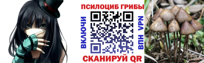 Галлюциногенные грибы Psilocybe  Купить  Углич 